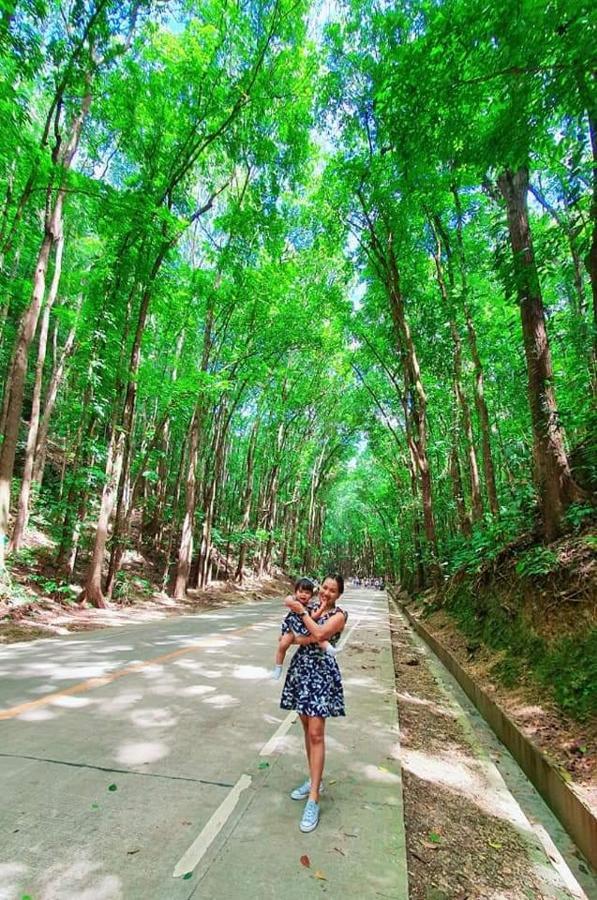 Sapphire Boutique Resort Đảo Đảo Panglao Ngoại thất bức ảnh